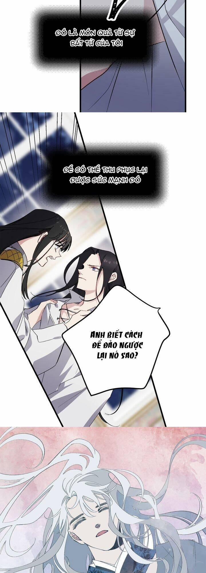 Tình Điên Dại 60 trang 13