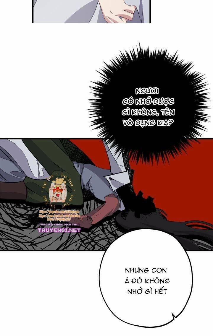 Tình Điên Dại 60 trang 25