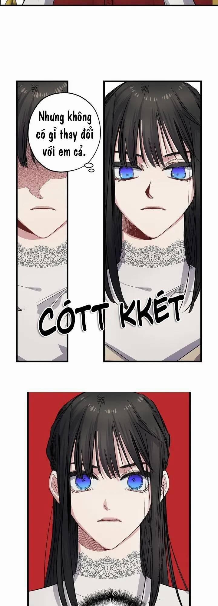 Tình Điên Dại 62 trang 12