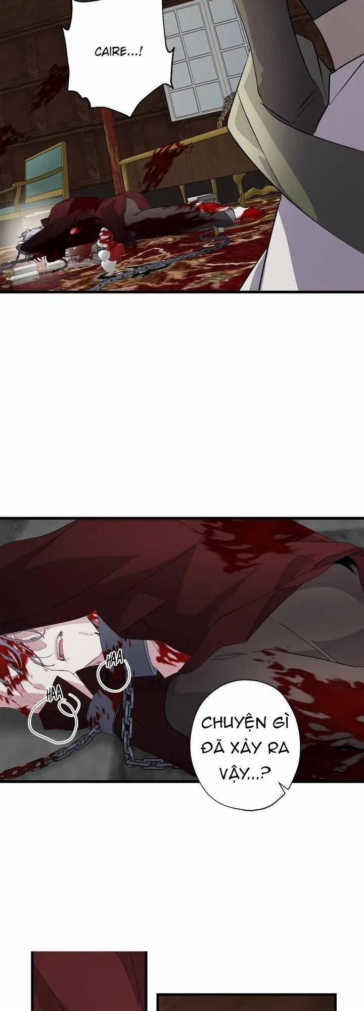 Tình Điên Dại 62 trang 15