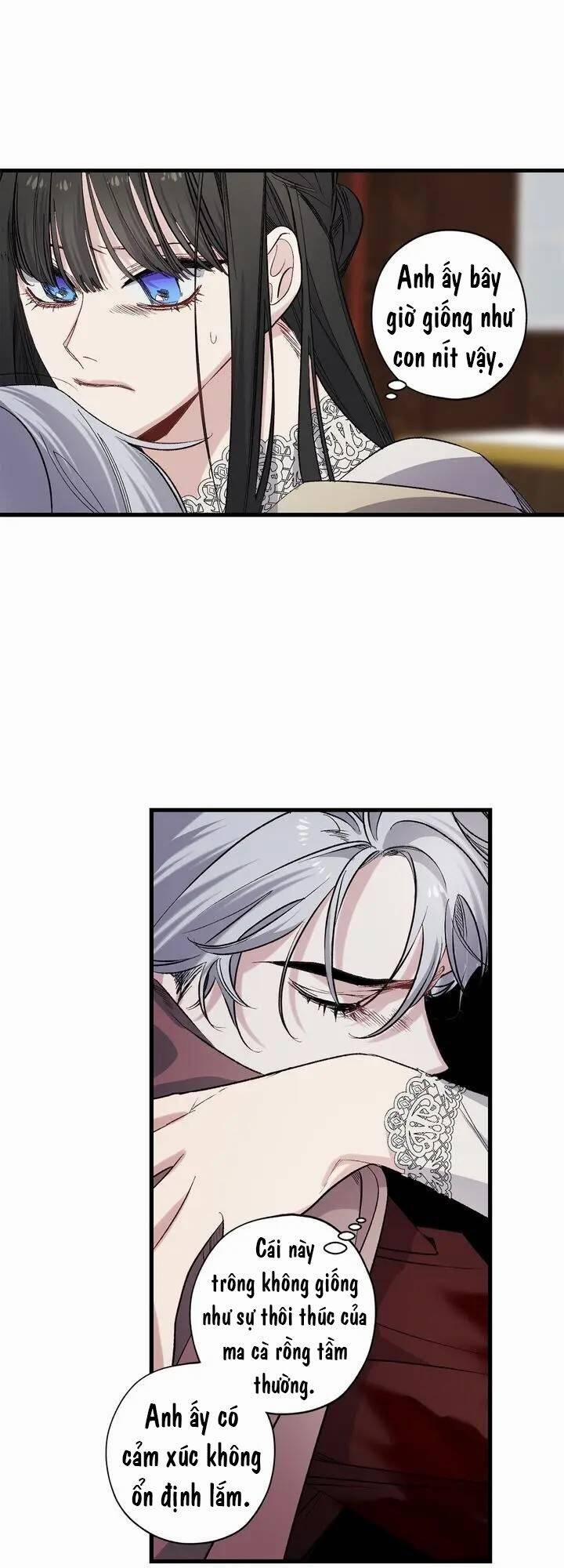 Tình Điên Dại 62 trang 25