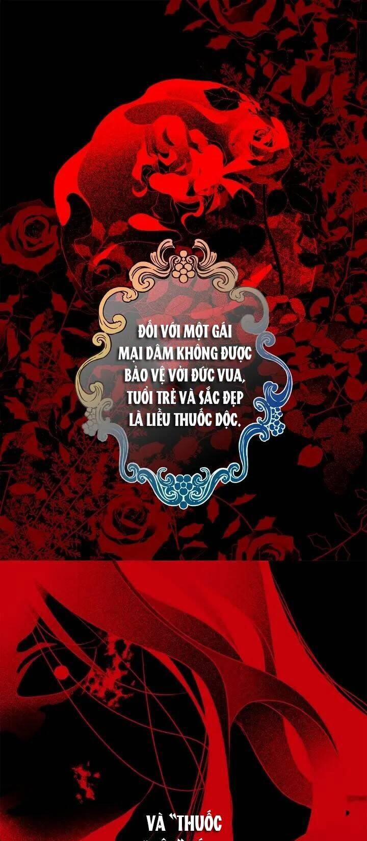 Tình Điên Dại 62 trang 28