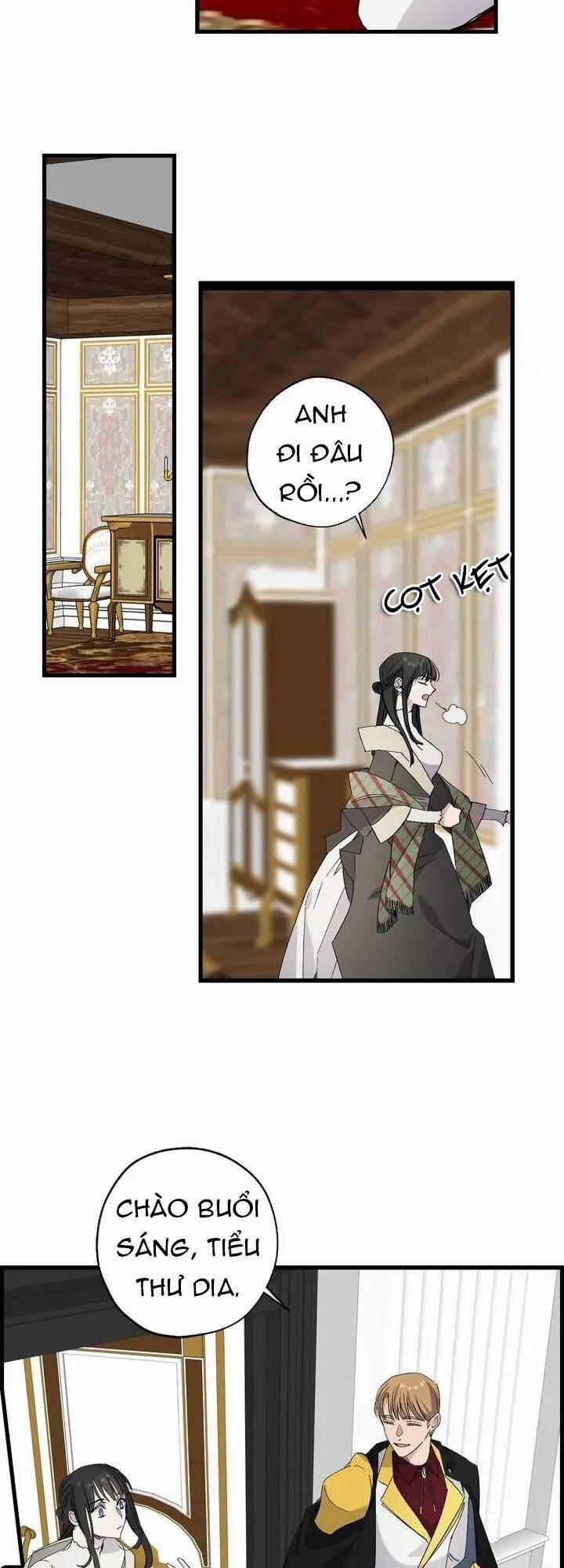 Tình Điên Dại 62 trang 4