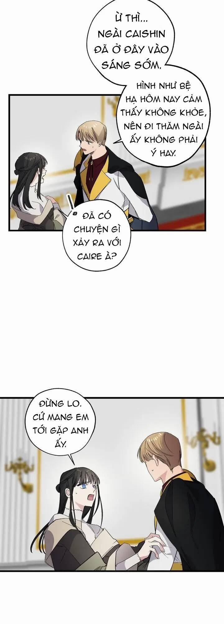 Tình Điên Dại 62 trang 8