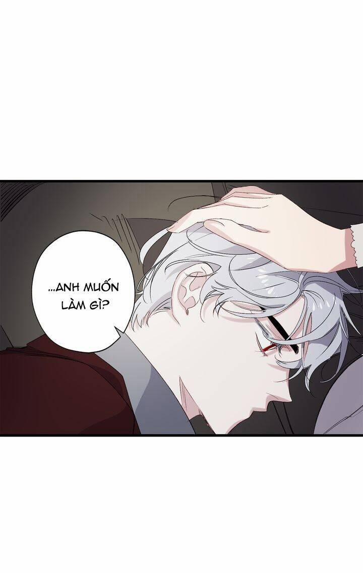 Tình Điên Dại 63 trang 17