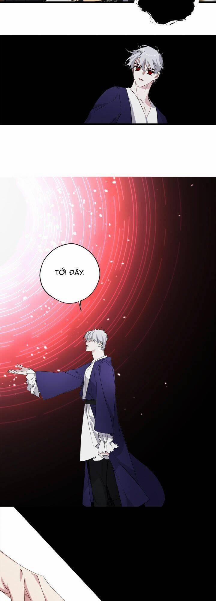 Tình Điên Dại 64 trang 23