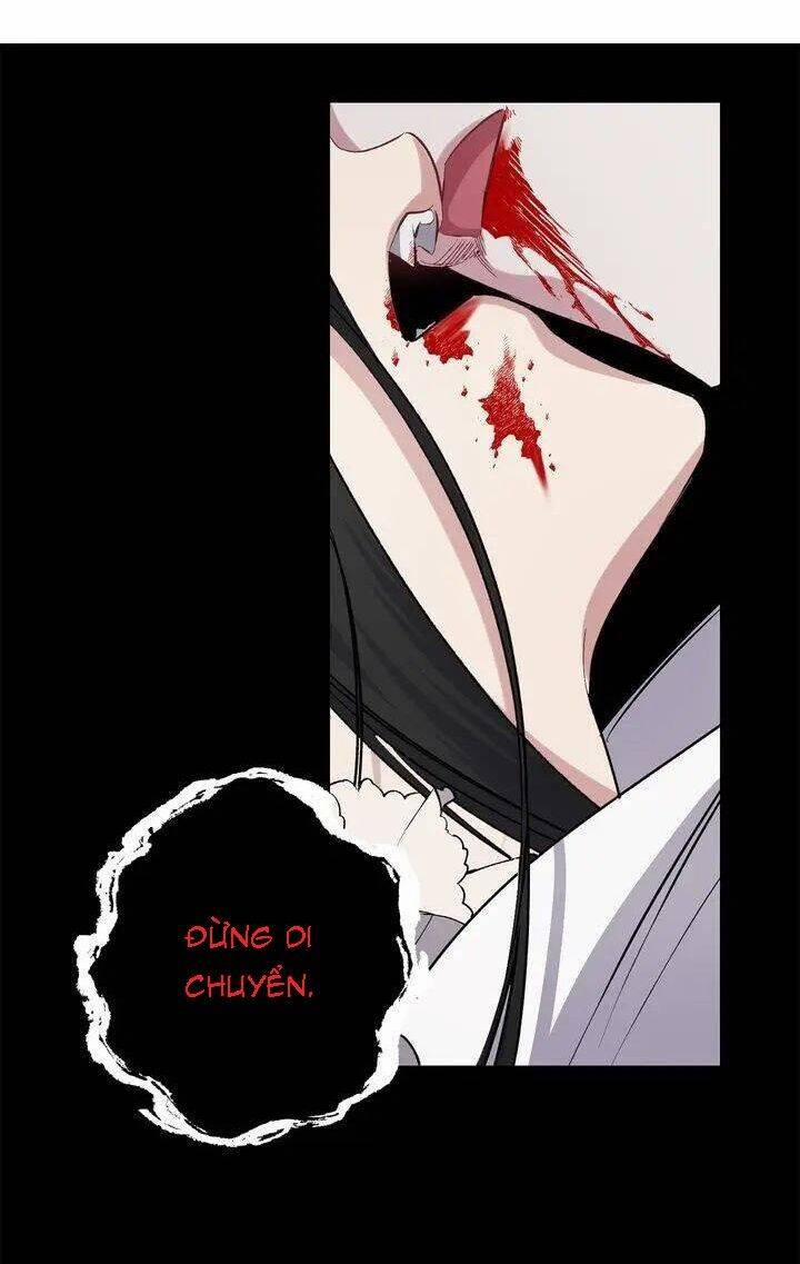 Tình Điên Dại 65 trang 11