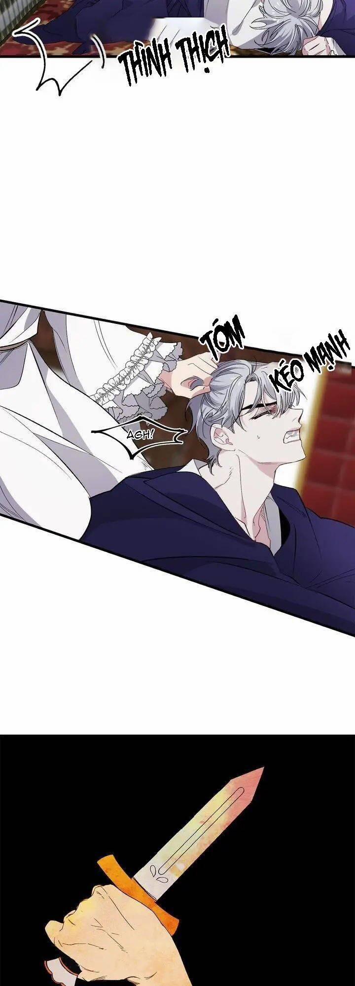 Tình Điên Dại 65 trang 14