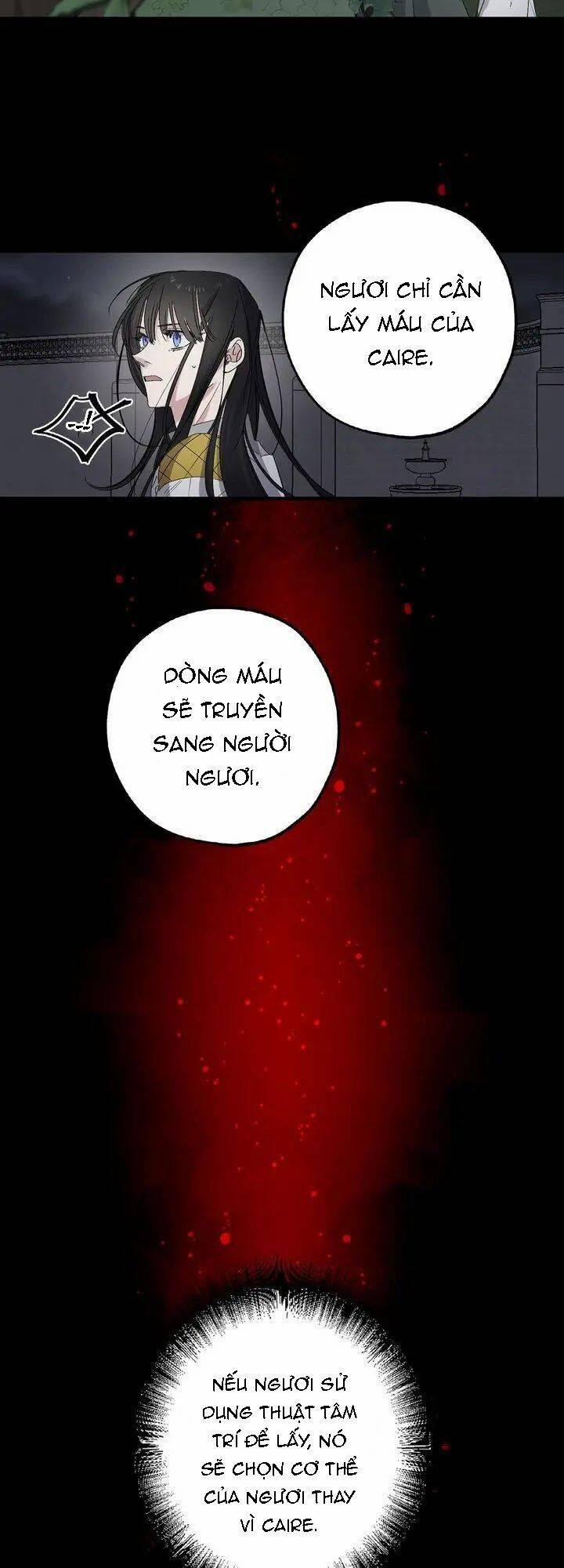 Tình Điên Dại 65 trang 21