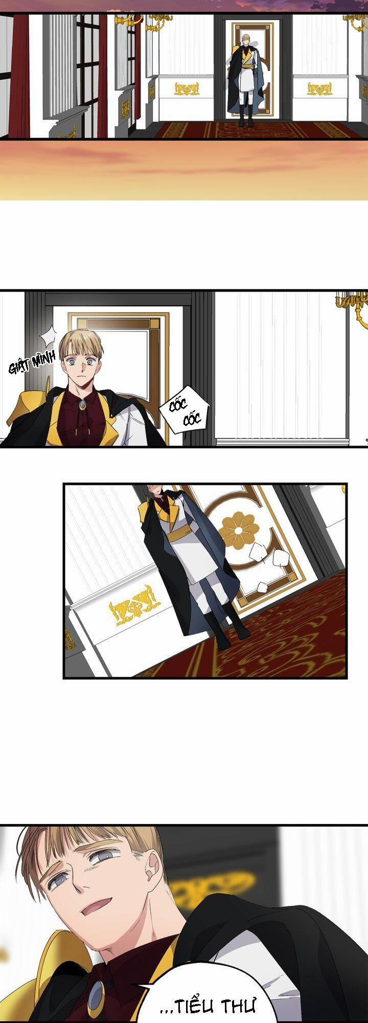 Tình Điên Dại 66 trang 14