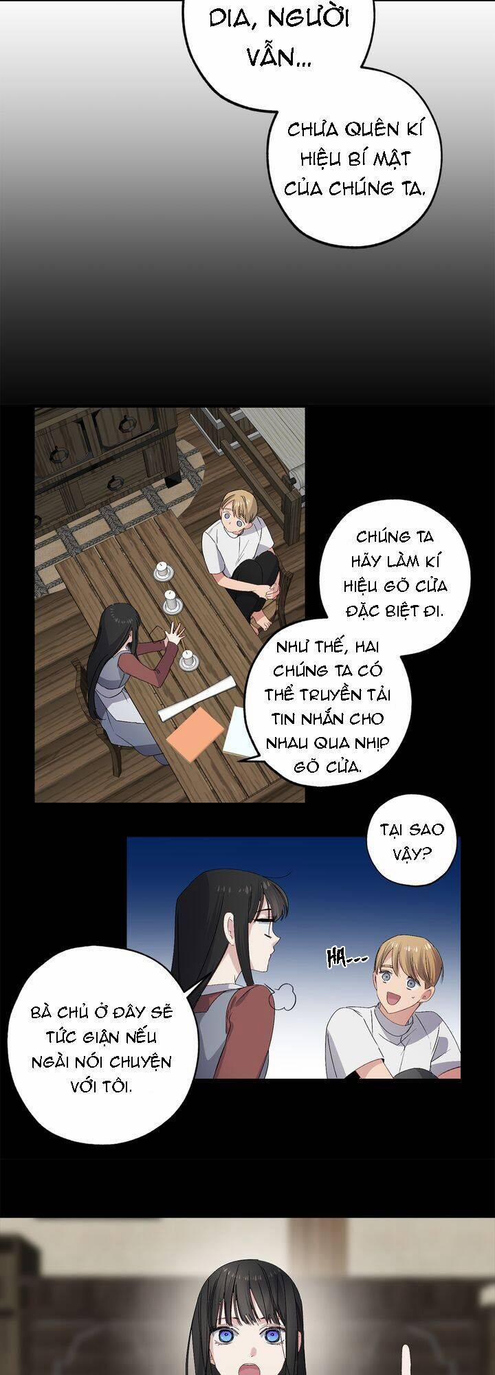 Tình Điên Dại 66 trang 15