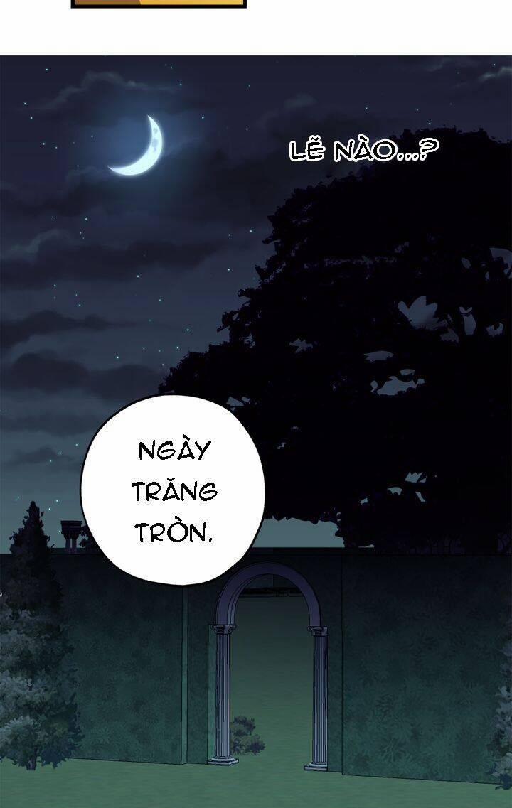 Tình Điên Dại 66 trang 26