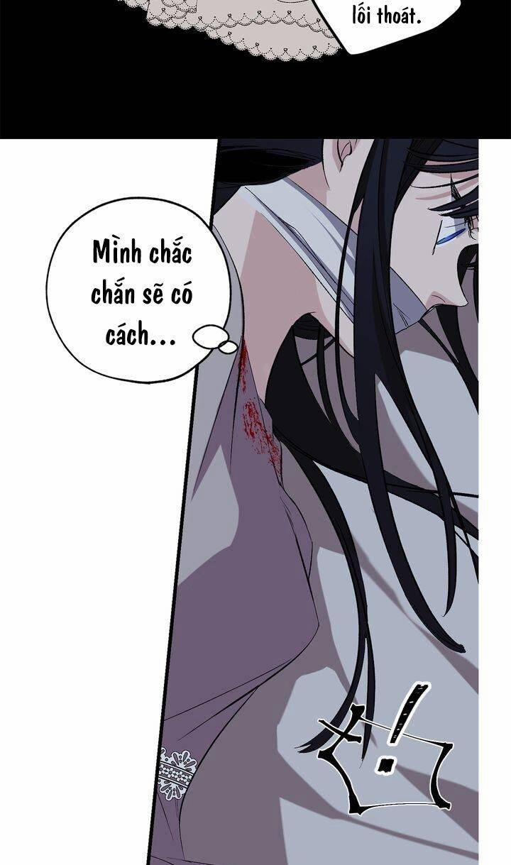 Tình Điên Dại 67 trang 11