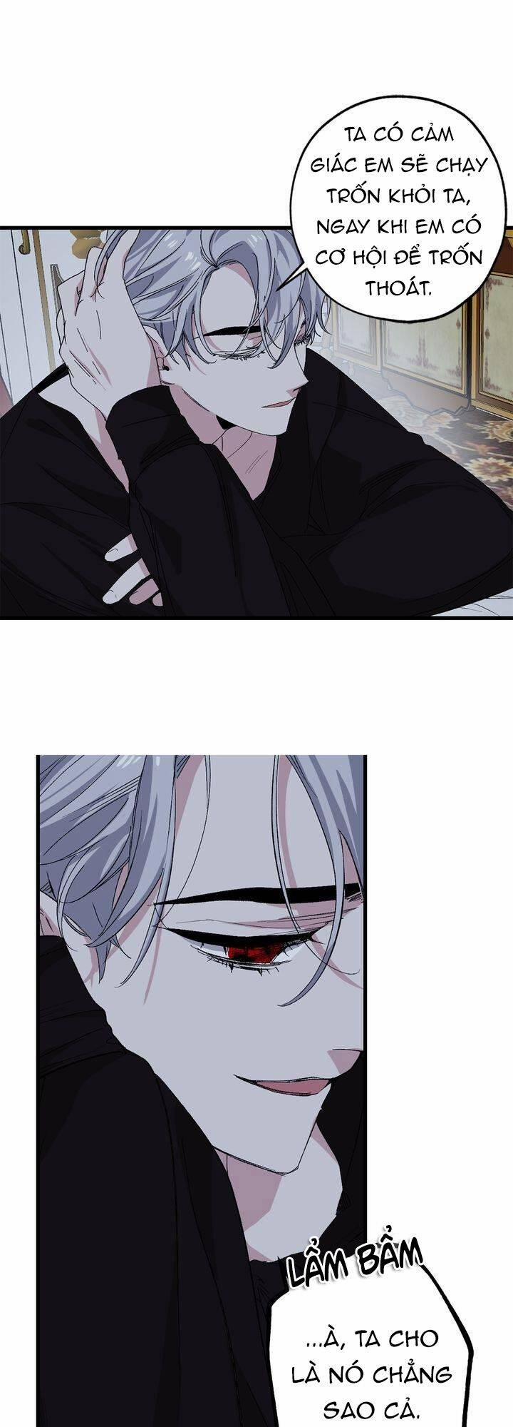 Tình Điên Dại 67 trang 13