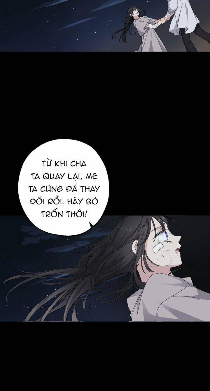 Tình Điên Dại 67 trang 24