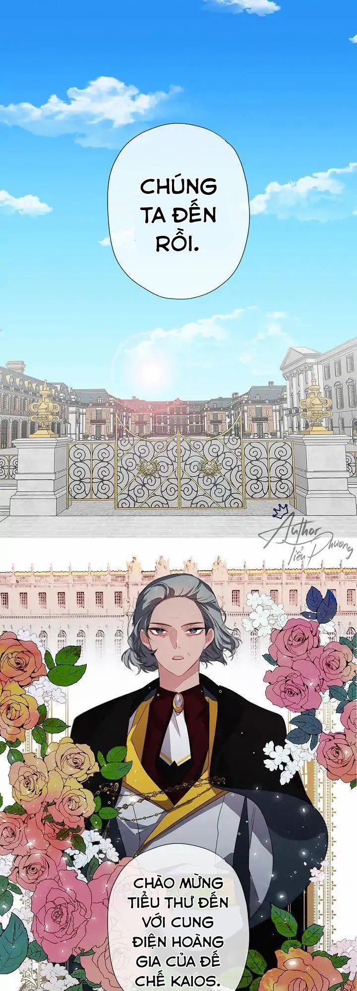 Tình Điên Dại 7 trang 4