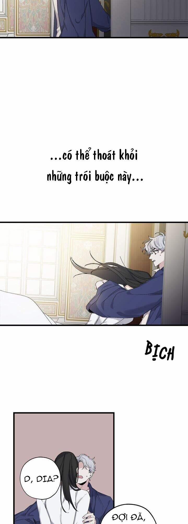 Tình Điên Dại 70 trang 13