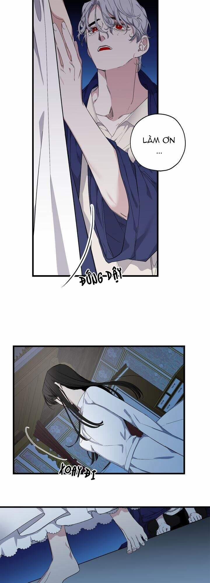 Tình Điên Dại 70 trang 28