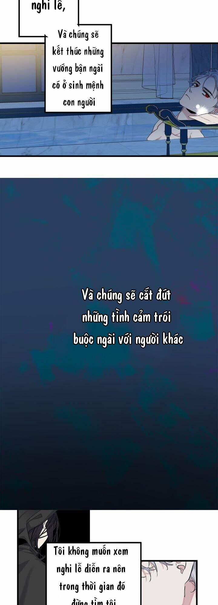 Tình Điên Dại 70 trang 6