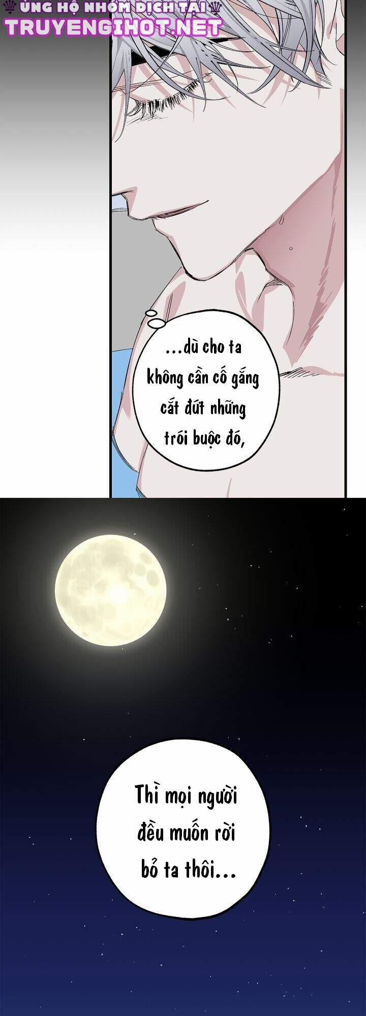 Tình Điên Dại 70 trang 8