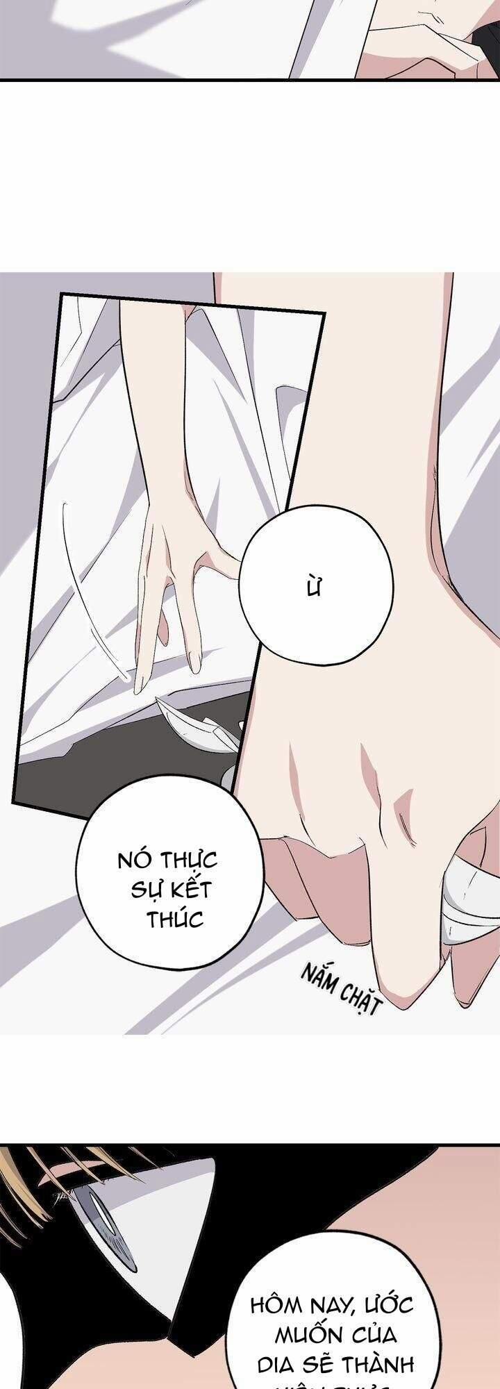 Tình Điên Dại 71 trang 11