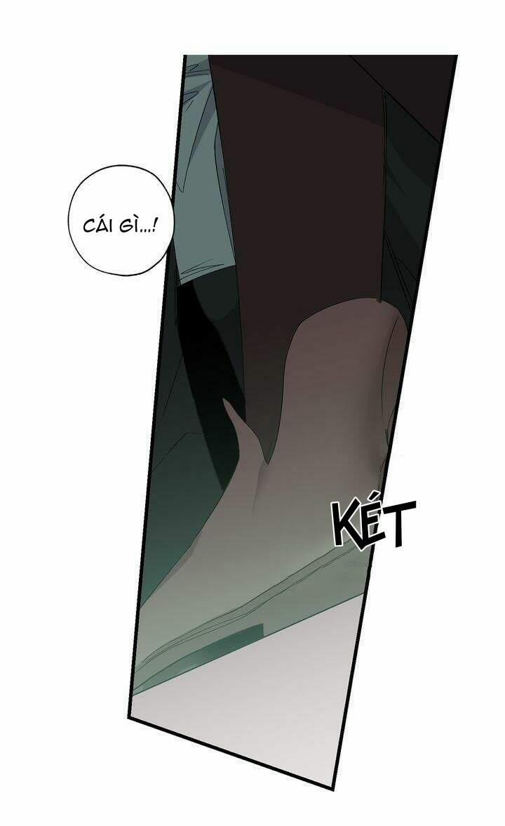 Tình Điên Dại 71 trang 16