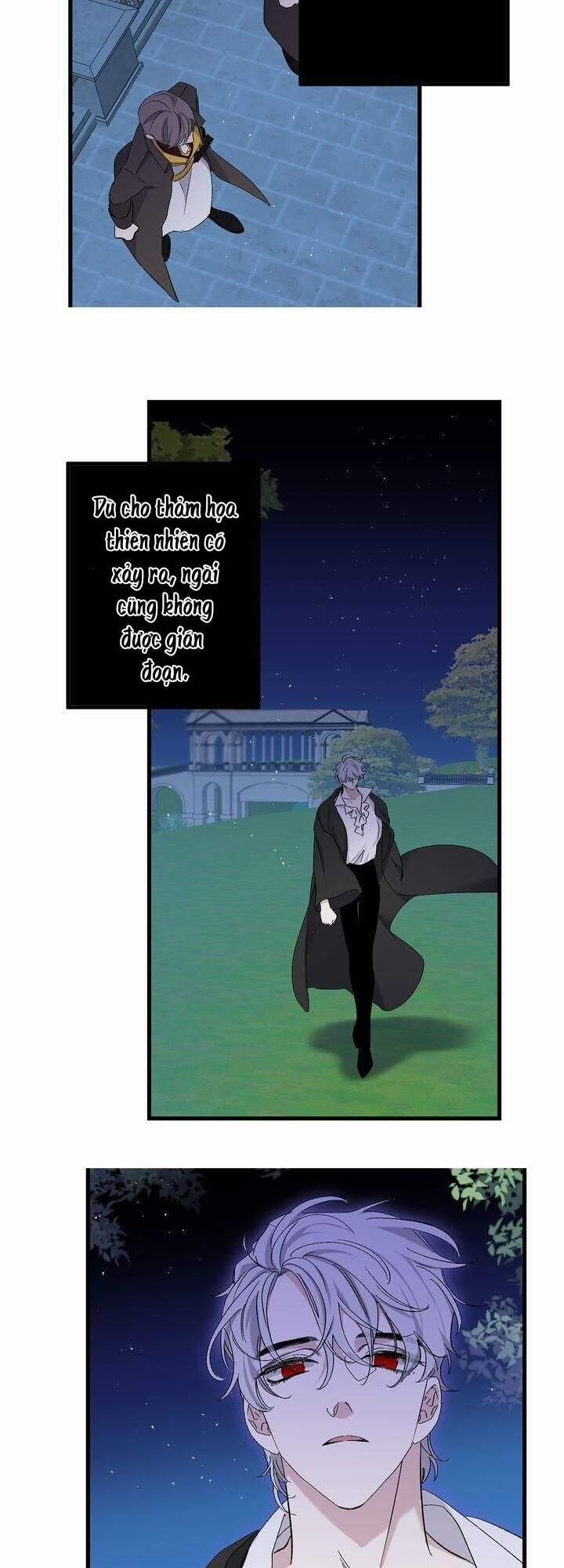 Tình Điên Dại 71 trang 19