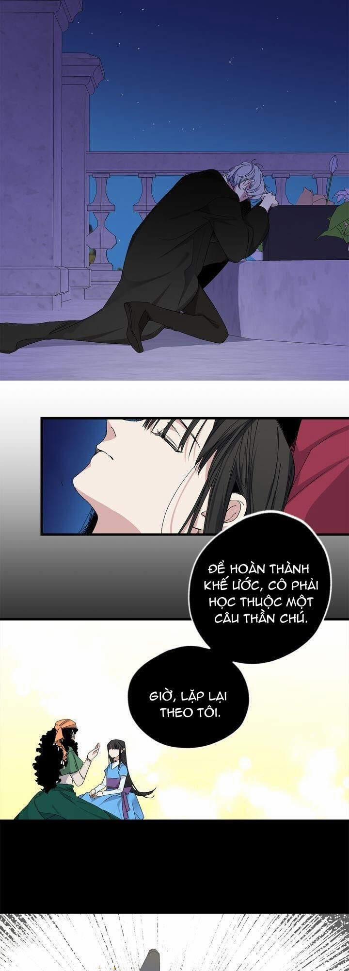 Tình Điên Dại 71 trang 21