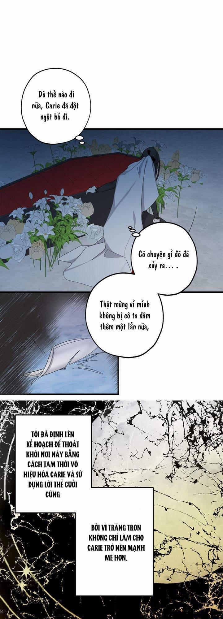 Tình Điên Dại 72 trang 11