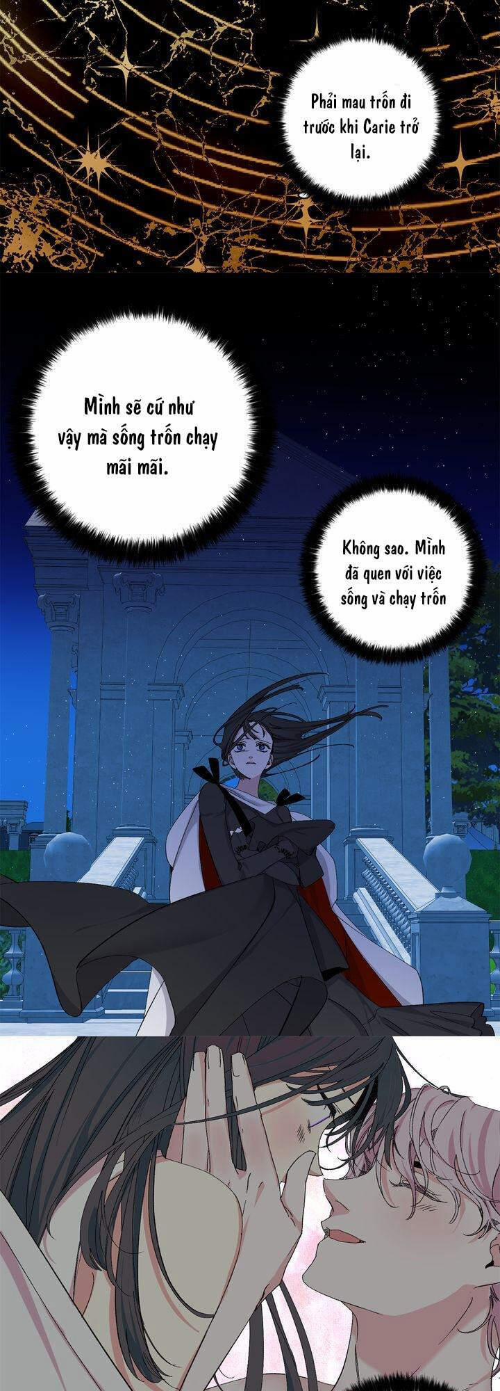 Tình Điên Dại 72 trang 12