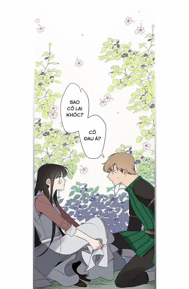 Tình Điên Dại 8 trang 46