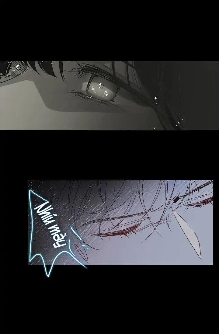 Tình Điên Dại 9 trang 19