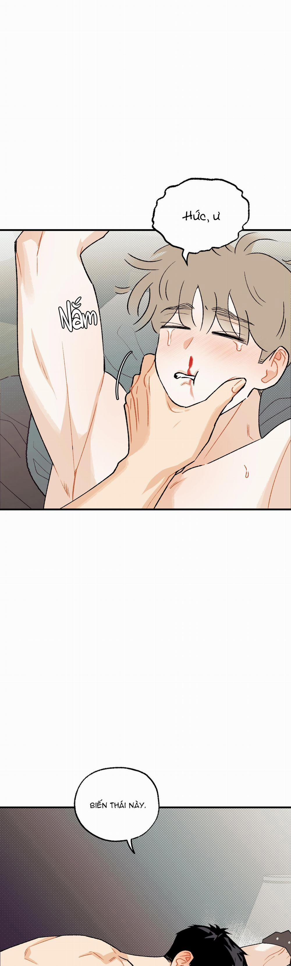 Tình Đơn Phương Lạc Lối 10 trang 30