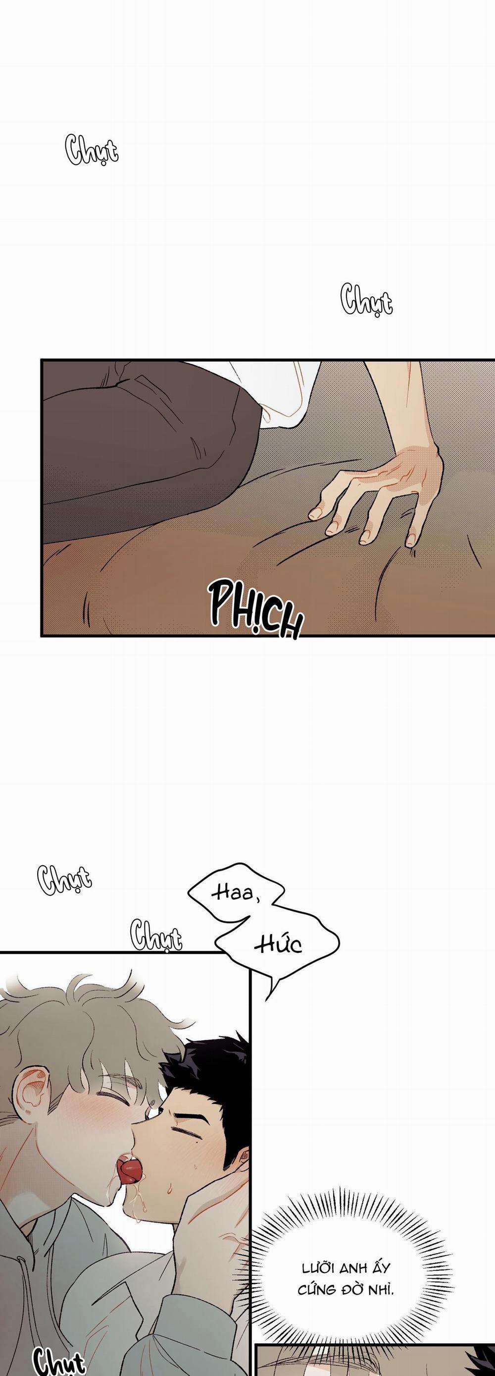 Tình Đơn Phương Lạc Lối 2 trang 0