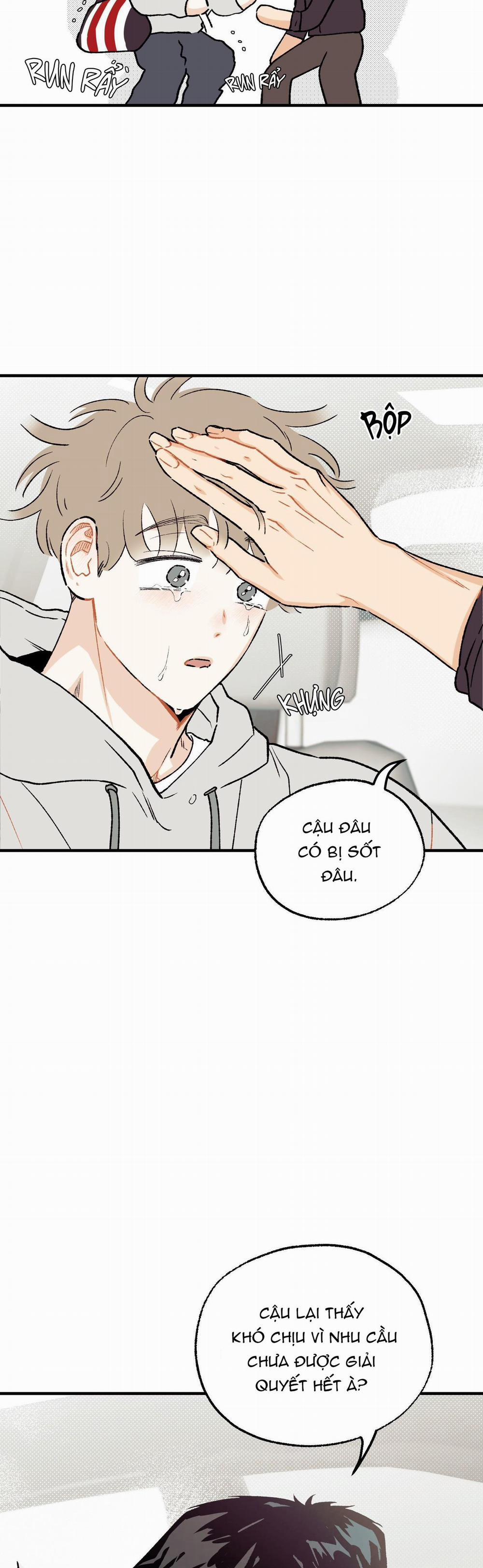 Tình Đơn Phương Lạc Lối 3 trang 16