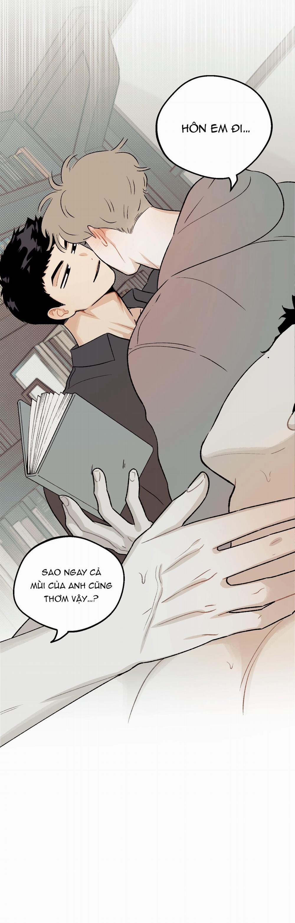 Tình Đơn Phương Lạc Lối 8 trang 21