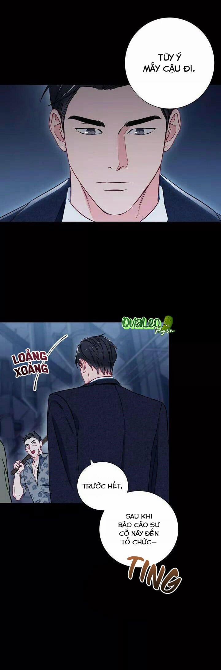 Tình Huynh Đệ Của Chúng Ta 8 trang 13