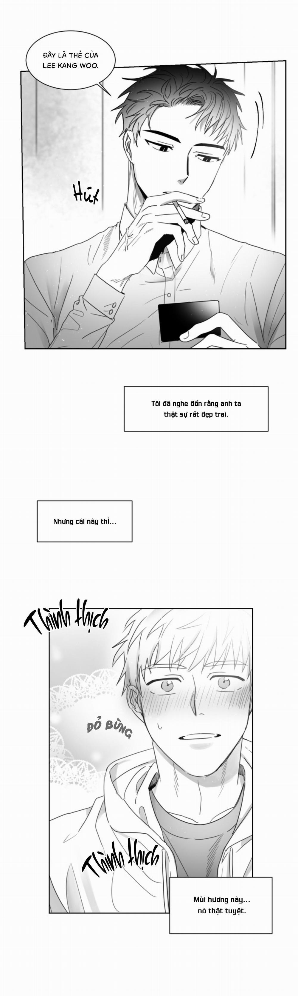 Tình Không Như Mơ 1 trang 19