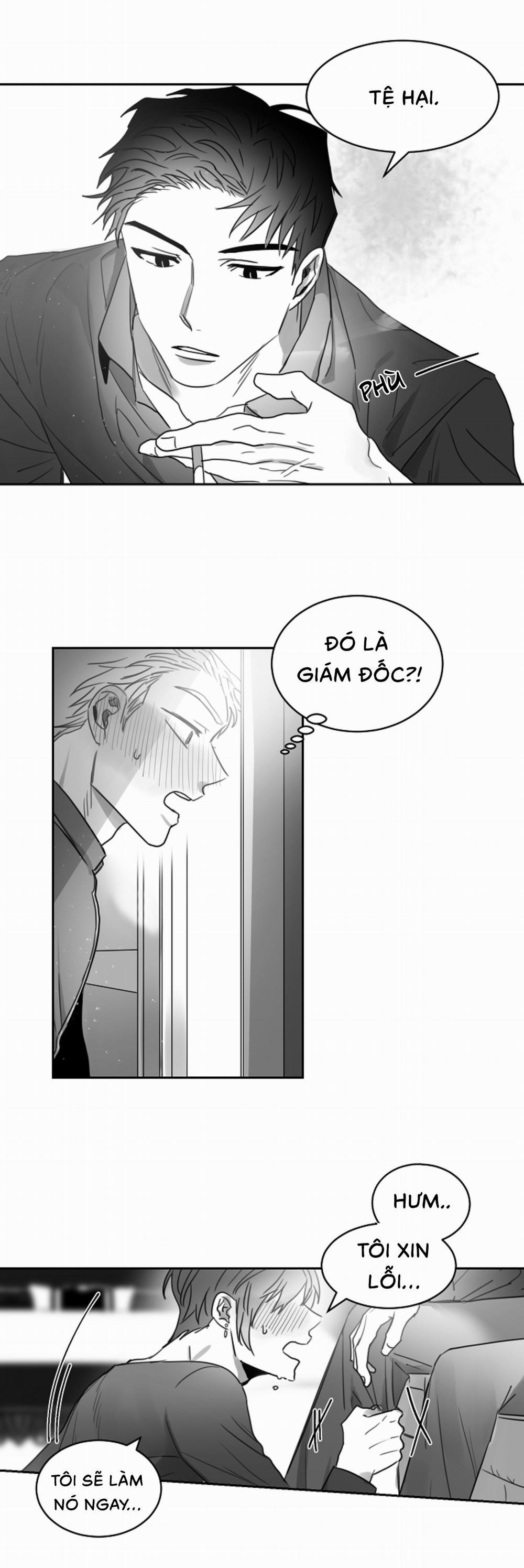 Tình Không Như Mơ 12 trang 15