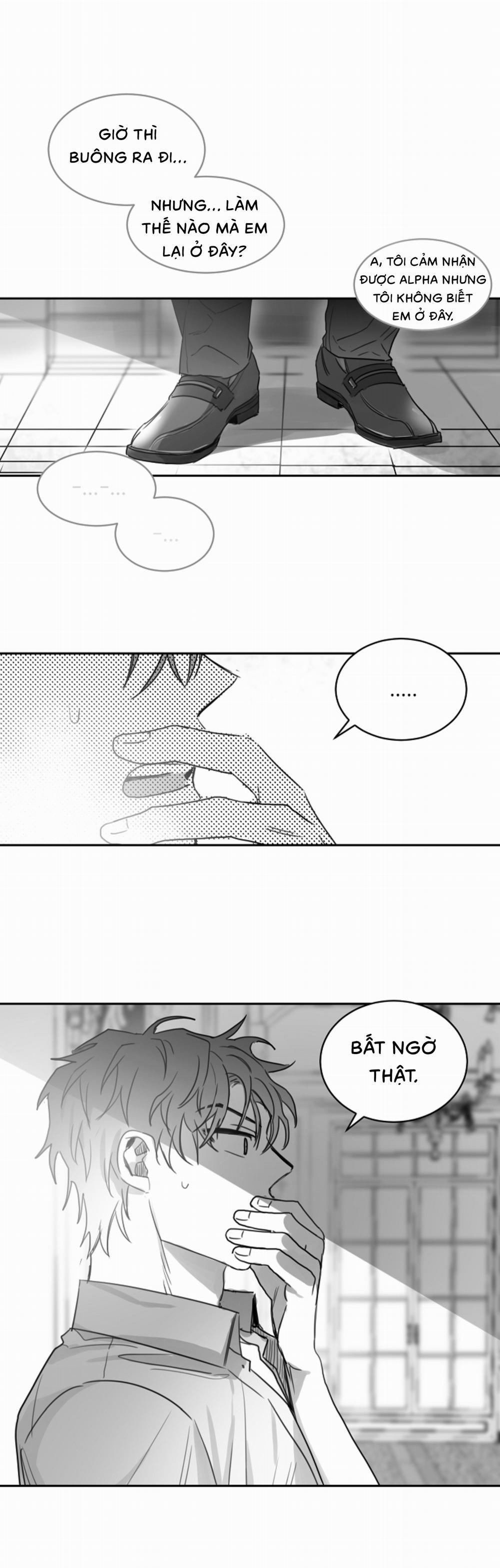 Tình Không Như Mơ 13 trang 15