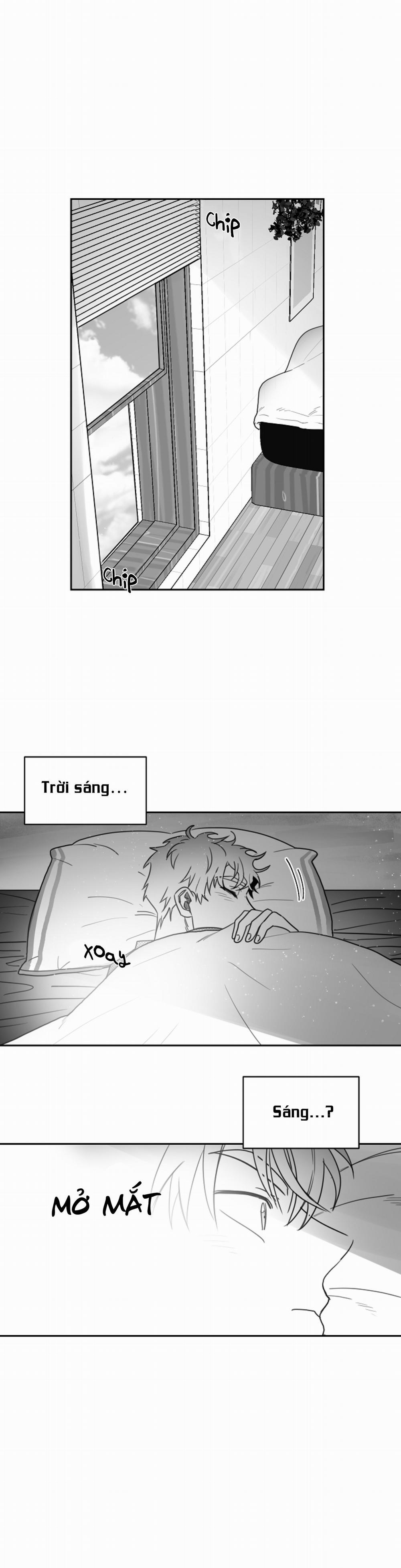 Tình Không Như Mơ 14 trang 0