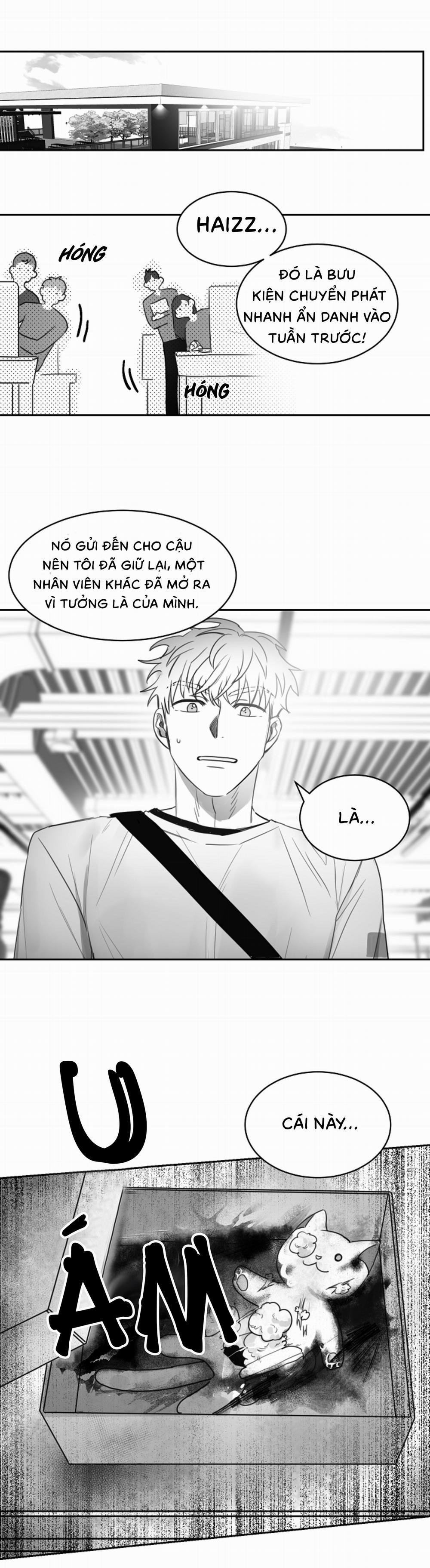 Tình Không Như Mơ 14 trang 11