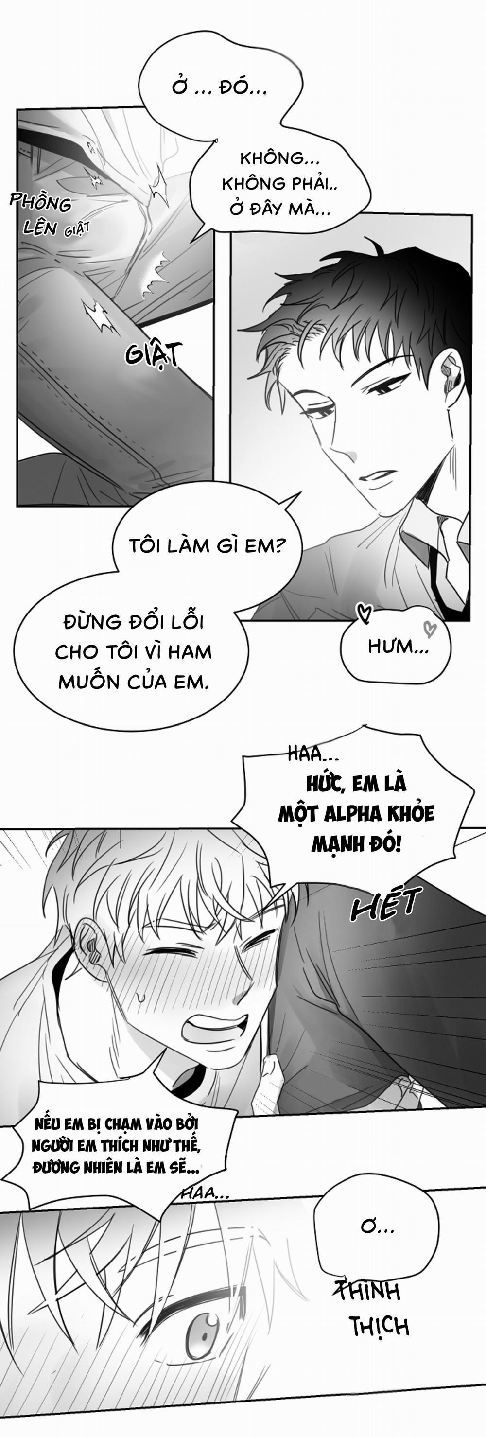 Tình Không Như Mơ 15 trang 11