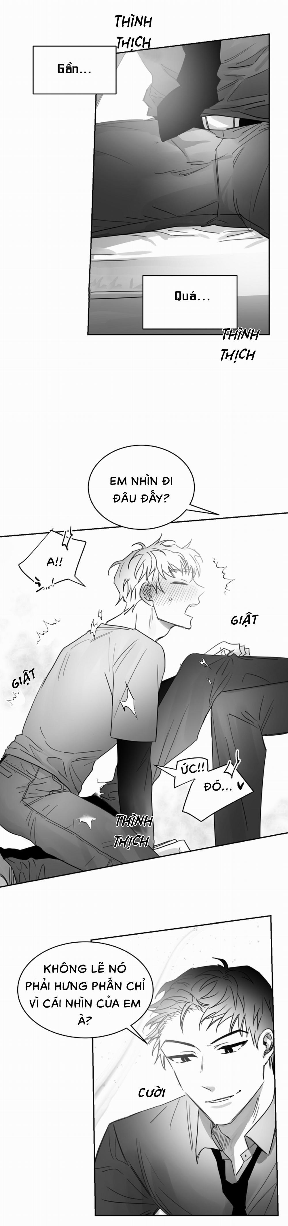 Tình Không Như Mơ 15 trang 12