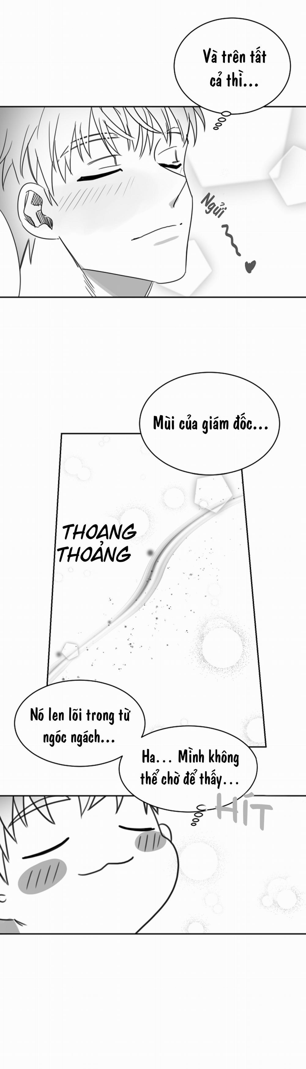 Tình Không Như Mơ 15 trang 6