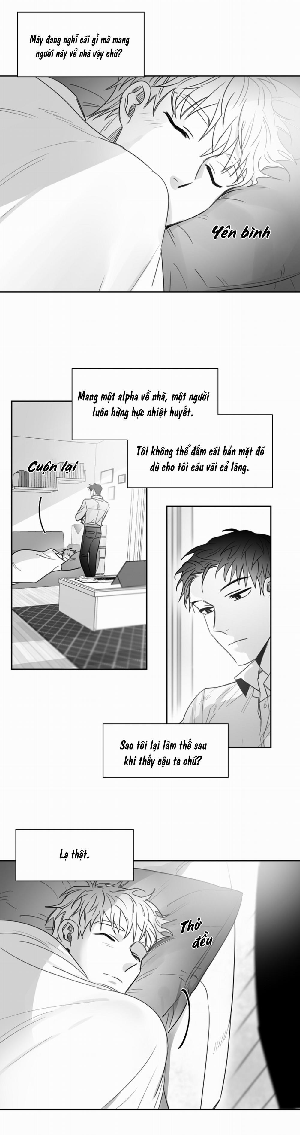 Tình Không Như Mơ 19 trang 1