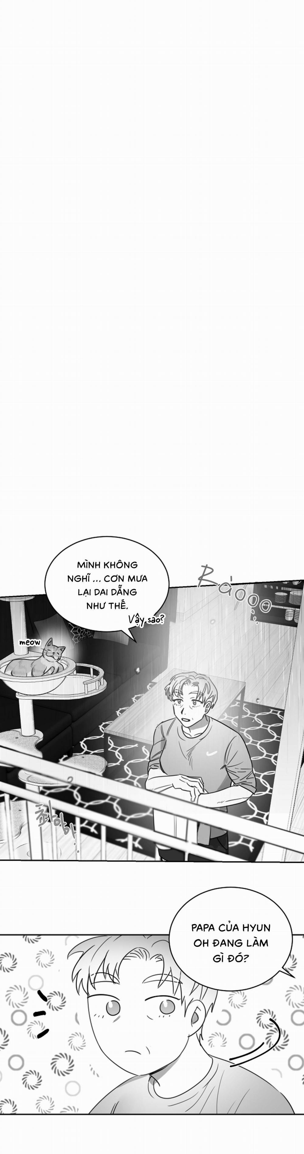 Tình Không Như Mơ 23 trang 11