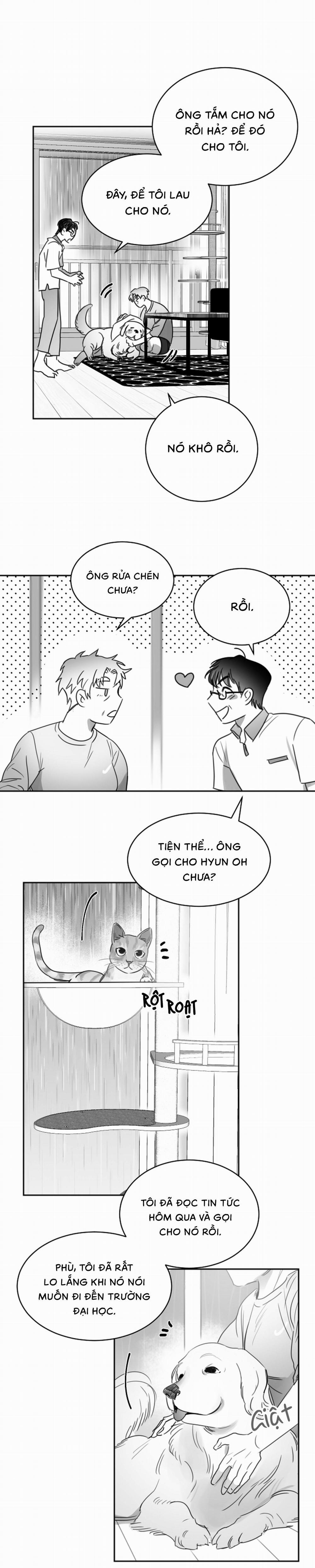 Tình Không Như Mơ 23 trang 12