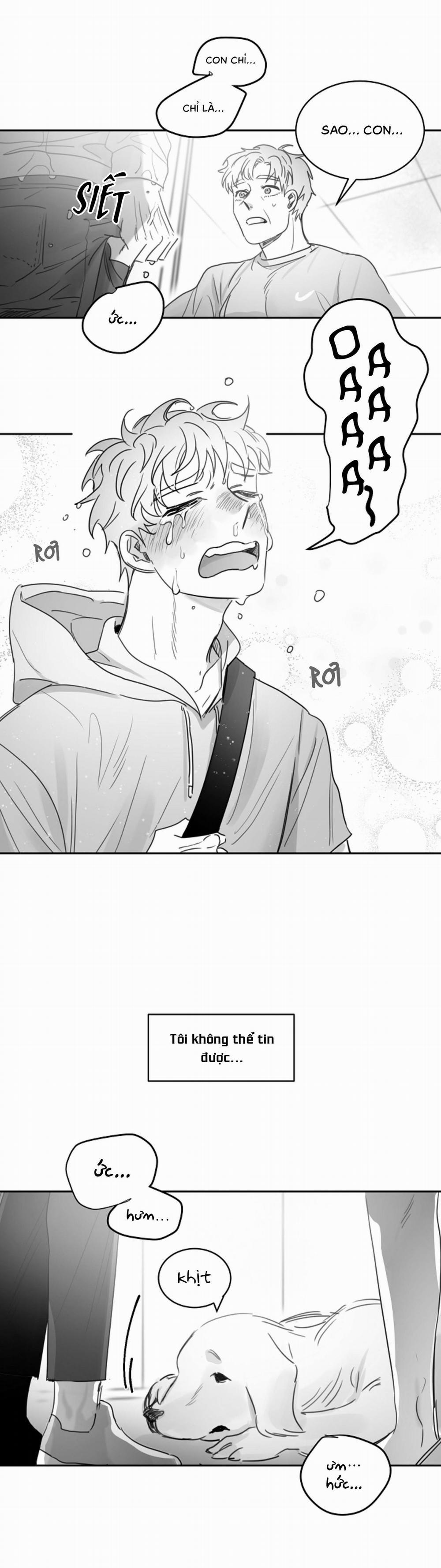 Tình Không Như Mơ 23 trang 16