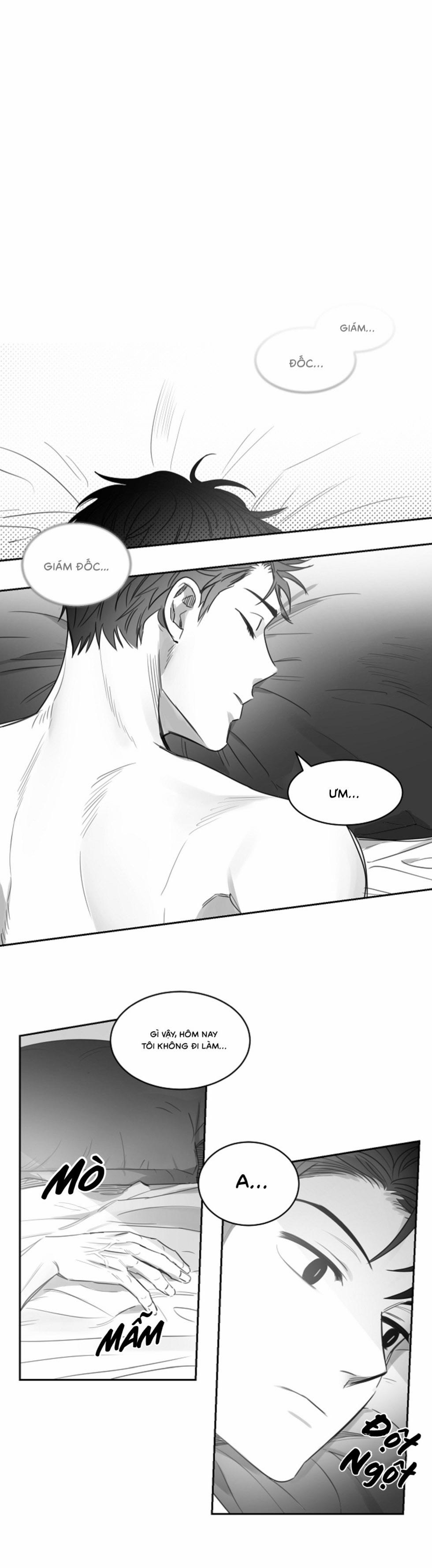 Tình Không Như Mơ 24 trang 0